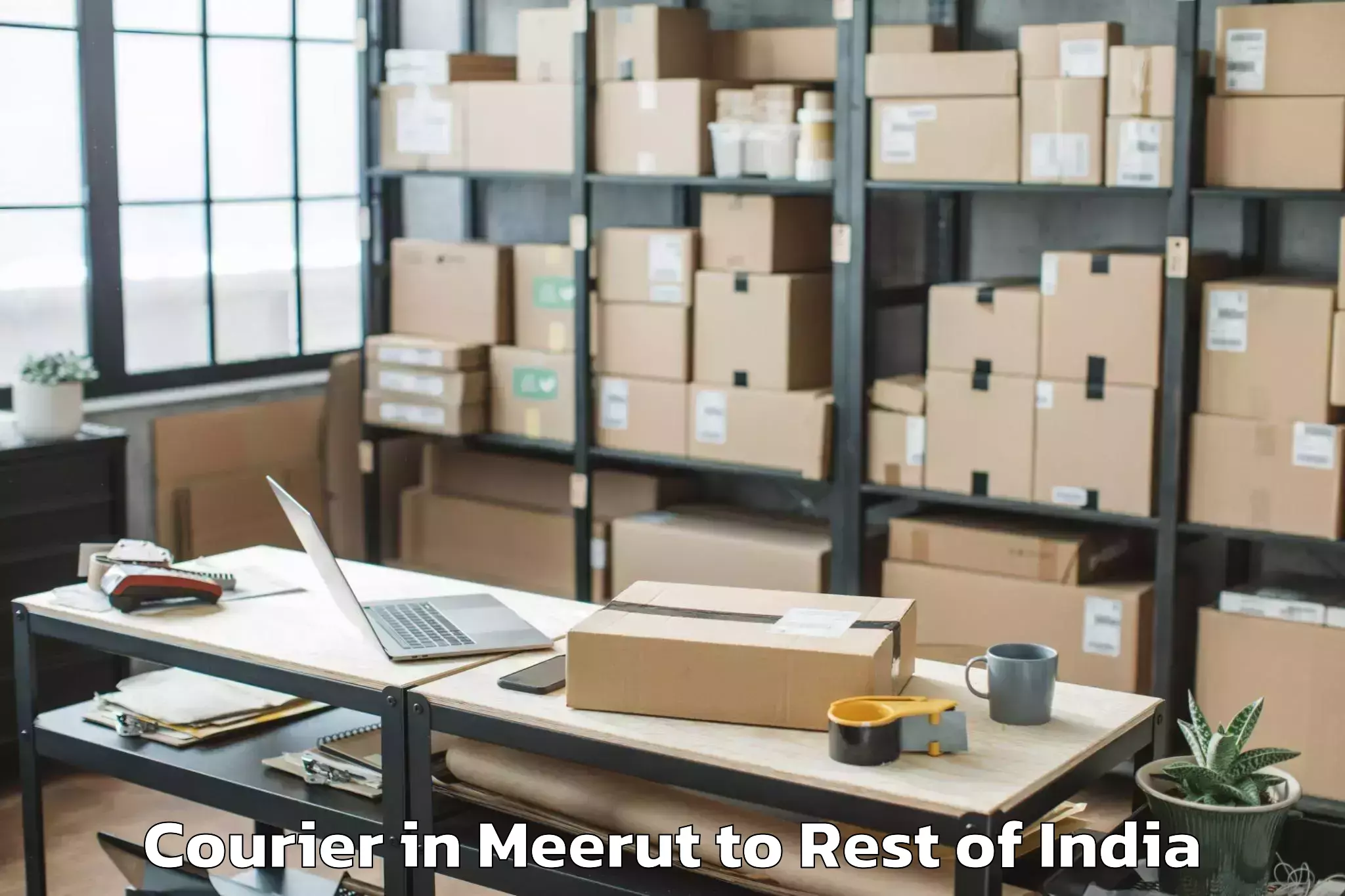 Reliable Meerut to Athmakur M Courier